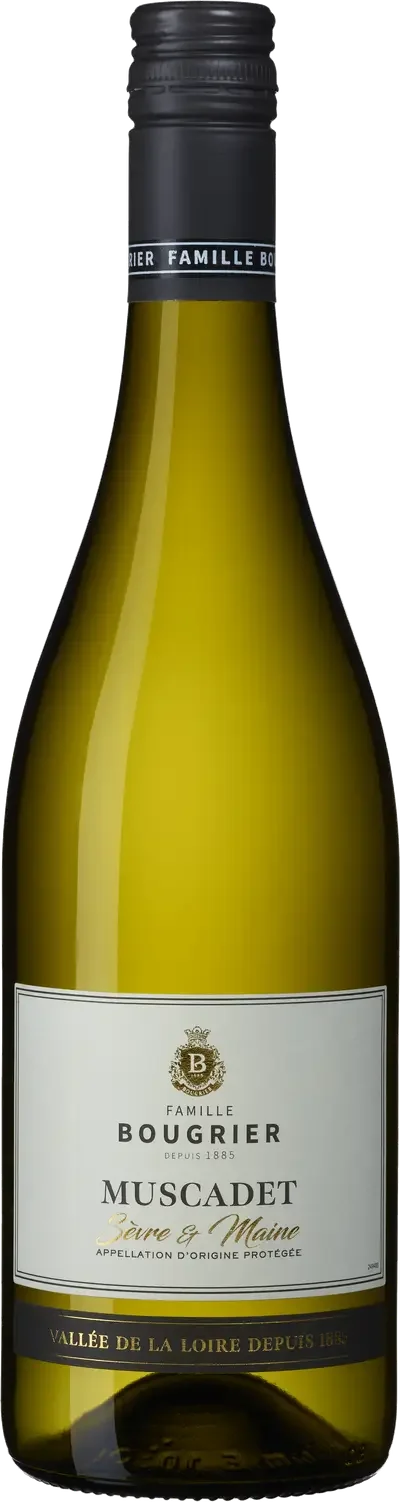 Collection Muscadet Sevre Maine